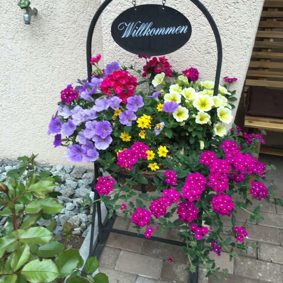 Hotel B&B Casa La Val Sedrun Eksteriør billede